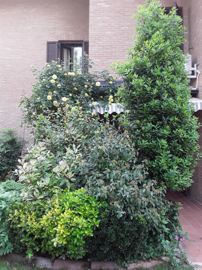 B&B La Rosa Gialla Маранелло Екстер'єр фото