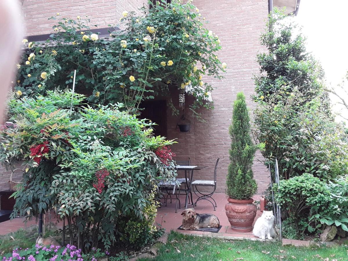 B&B La Rosa Gialla Маранелло Екстер'єр фото