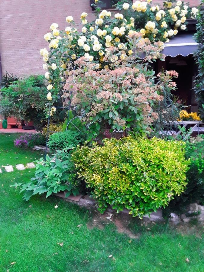 B&B La Rosa Gialla Маранелло Екстер'єр фото