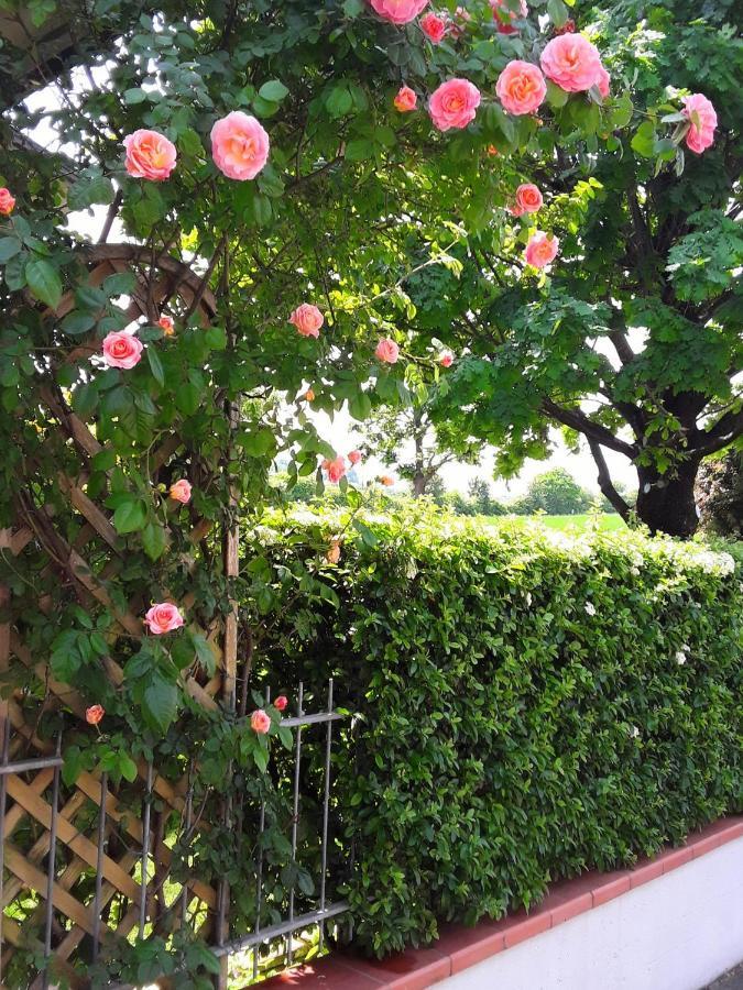 B&B La Rosa Gialla Маранелло Екстер'єр фото